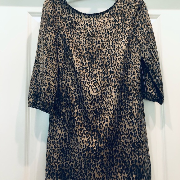 Tacera Leopard 3/4 Sleeve Dress size-S NWT  black zipper detail - Picture 1 of 6